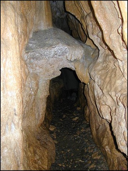 Galerie Figuier 2