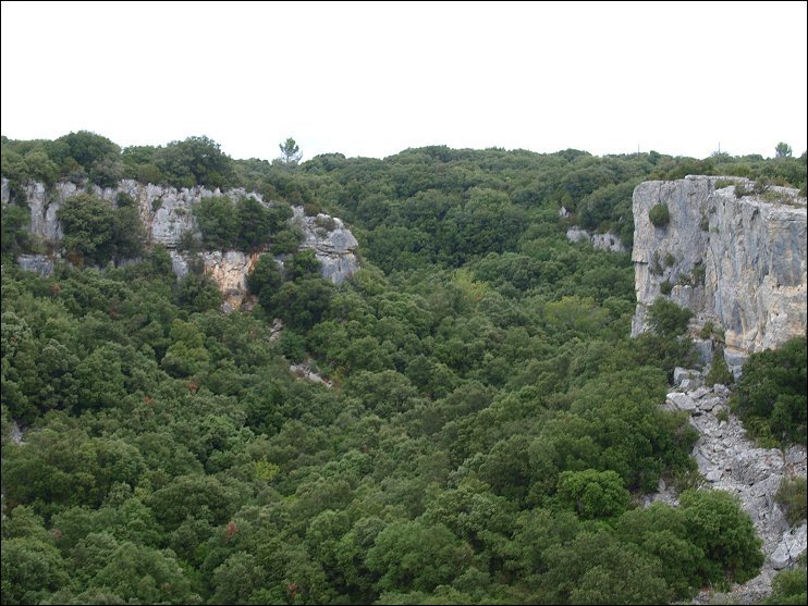 Quercus ilex, paysages b