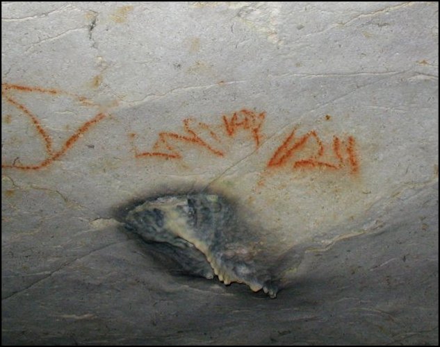Serpent, inscrip. 2
